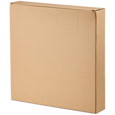 Набор тарелок обеденных коллекция "PINE CONES", 2 шт. / 25*25*2,3 см BRONCO 230-516-4