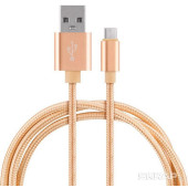 104100 Кабель Energy ET-28 USB/Type-C, золотой 104100 Кабель Energy ET-28 USB/Type-C, золотой