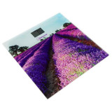 Весы напольные HOMESTAR HS-6001G (004545)