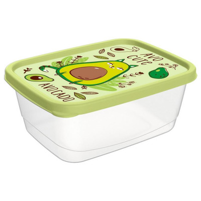 221181520/04 Контейнер для продуктов прямоугольный 0.5л с декором (салатовый)
