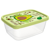 221181520/04 Контейнер для продуктов прямоугольный 0.5л с декором (салатовый)