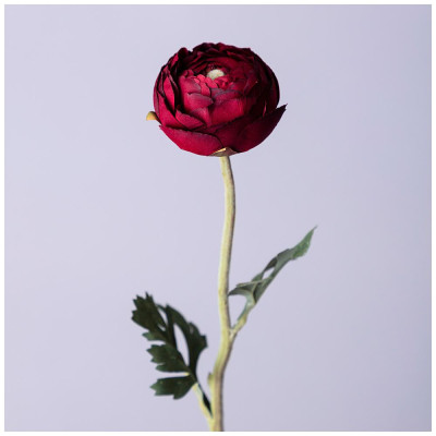 Цветок искусственный " РАНУНКУЛЮС" высота=50см. (мал.уп=24шт/кор=96шт) LEFARD 287-540