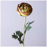 Цветок искусственный " РАНУНКУЛЮС" высота=50см. (мал.уп=24шт/кор=96шт) LEFARD 287-541