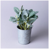 Композиция декоративная "КАЛАНХОЕ" высота=23 см LEFARD 287-558