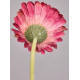 Цветок искусственный "ГЕРБЕРА" высота=61см. (мал=24 шт/кор=96шт.) LEFARD 287-562