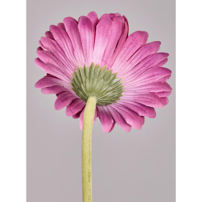 Цветок искусственный "ГЕРБЕРА" высота=61см. (мал=24 шт/кор=96шт.) LEFARD 287-563-2