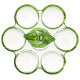 Подставка для 6 яиц "SUNDAY" green 17,5*16*9 см LEFARD 355-434
