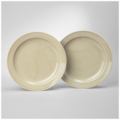Набор тарелок обеденных TINT 24 см (фисташковый) 2 шт. LEFARD 48-854-1