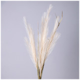 Цветок искусственный помпасная трава, цвет кремовый LEFARD 535-358