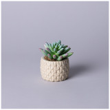 Суккулент искусственный в горшке 10*10,5см LEFARD 535-399