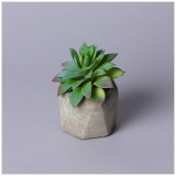 Суккулент искусственный в горшке 13*13см мал.уп.=24шт LEFARD 535-400