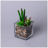 Суккулент искусственный в прозрачном горшке 11*17см мал.уп.=8шт LEFARD 535-401
