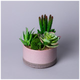 Суккулент искусственный в горшке 16*17см LEFARD 535-402