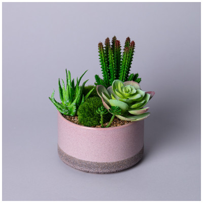Суккулент искусственный в горшке 16*17см LEFARD 535-402