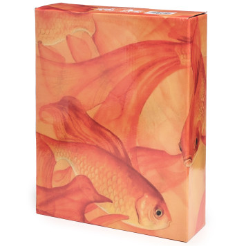 Блюдо "ОСЁТР" 28*20*5 см (кор=8шт) LEFARD 58-249-4