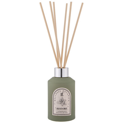 Диффузор ароматический "RESTORE" 100 мл LEFARD 625-105