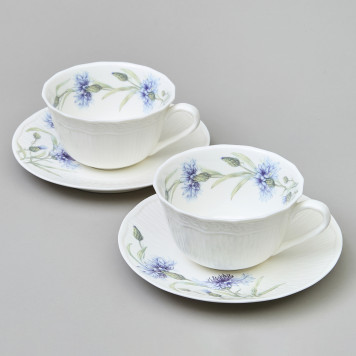 Чайный набор "ВАСИЛЬКИ" на 2 пер. 4 пр. 330 мл LEFARD 760-829