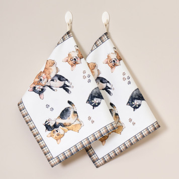 Набор полотенец из 2-х шт " ДРУЖБА" ,40х60см, 100% хлопок, твил LEFARD 850-721-61