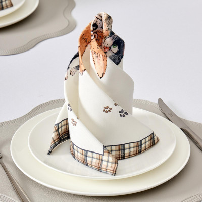 Набор салфеток из 2-х шт " ДРУЖБА" ,40х40см, 100% хлопок,твил, белый LEFARD 850-721-8-11