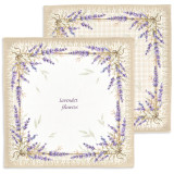 Набор салфеток из 2-х шт " ДУША ПРОВАНСА" , 40х40см, 100% хлопок, бежевый, твил, LEFARD 850-735-8