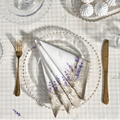 Набор салфеток из 2-х шт " ДУША ПРОВАНСА" , 40х40см, 100% хлопок, бежевый, твил, LEFARD 850-735-8-6