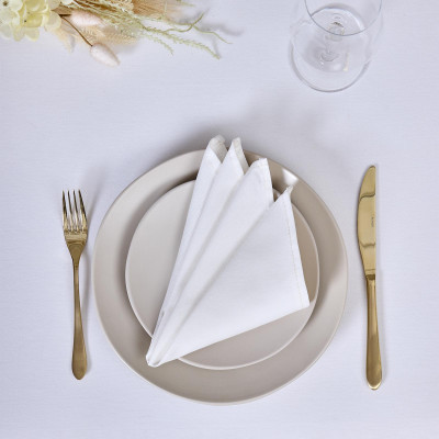 Набор салфеток из 2-х шт " КЛАССИКА" ,35х35см, 100% хлопок,твил LEFARD 850-746-8-4