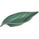 Блюдо "GRASSLAND" в форме листа 30*13*3,5 см LEFARD 85-2079