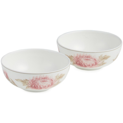 Набор розеток "АСТРА" 2 шт. 9,5 см (кор=36наб.) LEFARD 86-2514-1