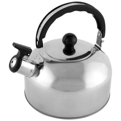 007297 Чайник Casual 2.5л из нерж стали со свистком, зеркальная полировка-1