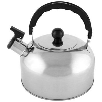 007297 Чайник Casual 2.5л из нерж стали со свистком, зеркальная полировка-2