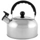 007297 Чайник Casual 2.5л из нерж стали со свистком, зеркальная полировка