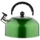 985625 Чайник Casual, объем 2.7л, со свистком, из нерж.стали, окрашенный, зеленый