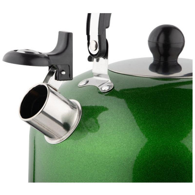 985625 Чайник Casual, объем 2.7л, со свистком, из нерж.стали, окрашенный, зеленый-2