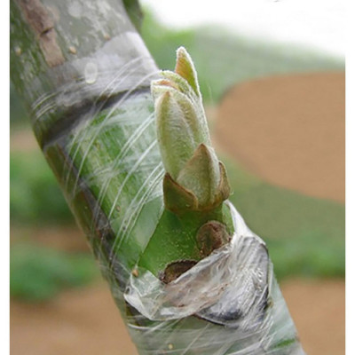 985460 Лента прививочная саморазрушающаяся Park-4