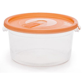 Контейнер СВЧ 'Смайл' С521-1