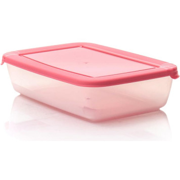 Контейнер СВЧ 'Лайт' С552-2