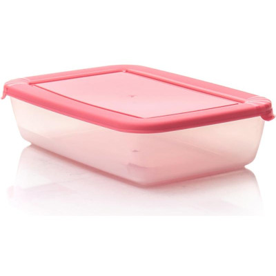 Контейнер СВЧ 'Лайт' С552-2