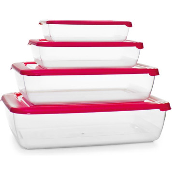 Набор контейнеров СВЧ 'Лайт' С556