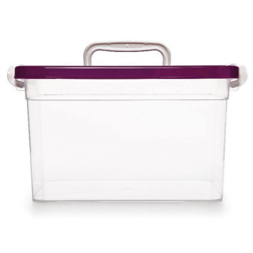 Контейнер д/хранения С 810-1