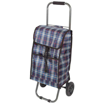 093576 Тележка с сумкой JX-D2 'Клетка' А204 'Рыжий кот'