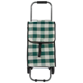 093581 Тележка с сумкой 'Green' D203 'Рыжий кот'-2