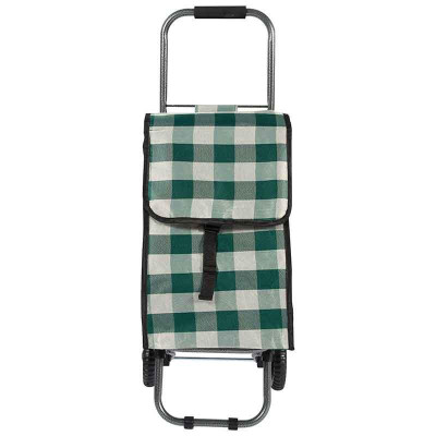 093581 Тележка с сумкой 'Green' D203 'Рыжий кот'-2