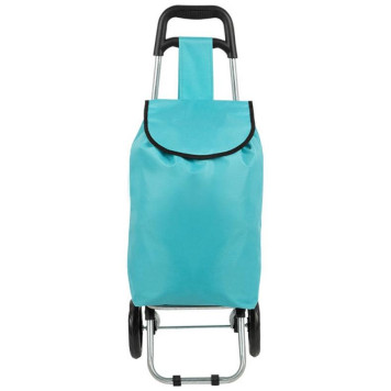 093590 Тележка с сумкой WR3030 'Бирюза' 15кг-1