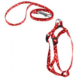 104127 Шлейка с поводком, ширина 1см, размер S - 24-34см