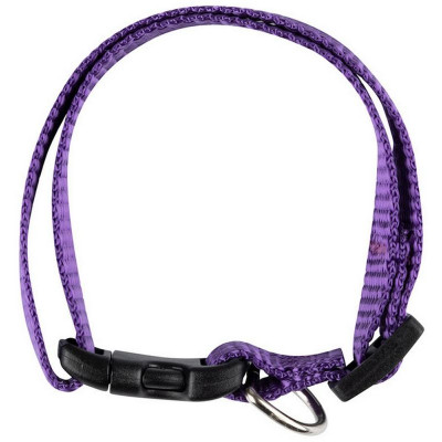 104129 Ошейник с застежкой (размер S) 20-30см-1