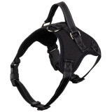 108066 Шлейка для собаки для груди 52-63см
