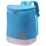 998250 Термосумка СВ-250