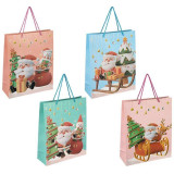 110432 Пакет подарочный 'Восторг' М