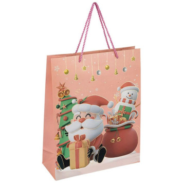 110432 Пакет подарочный 'Восторг' М-3